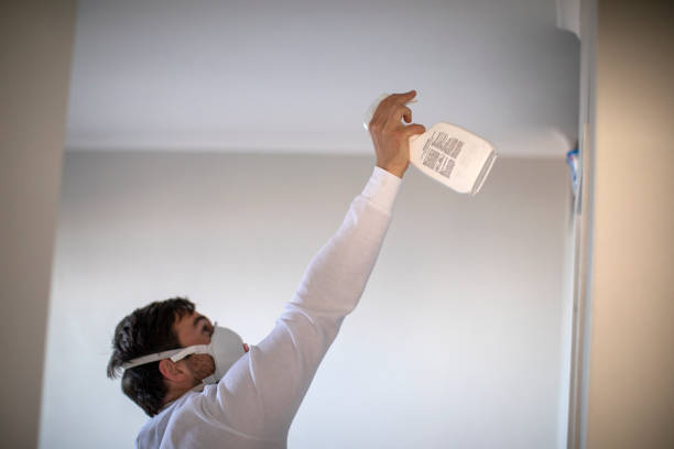 Best Emergency Mold Removal  in Colonial Beach, VA
