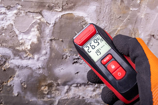 Best Black Mold Removal  in Colonial Beach, VA