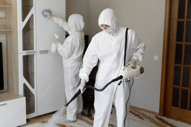 Best Toxic Mold Removal  in Colonial Beach, VA