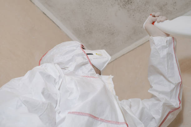 Best Mold Removal Specialists  in Colonial Beach, VA