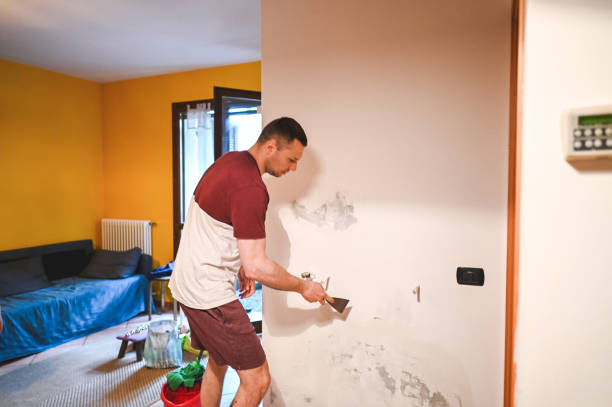 Best Mold Remediation  in Colonial Beach, VA