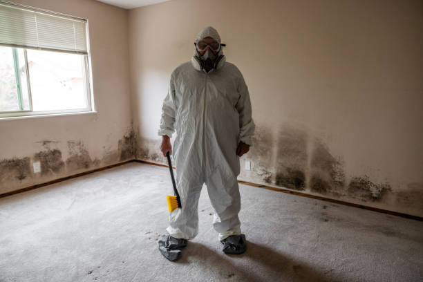 Crawl Space Mold Removal in Colonial Beach, VA