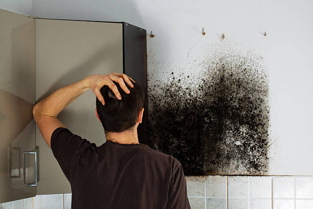 Best Crawl Space Mold Removal  in Colonial Beach, VA